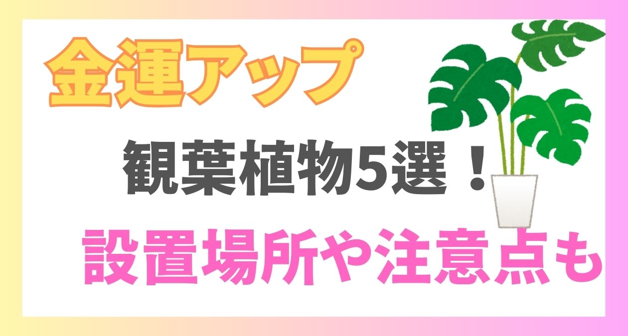 金運アップに効果的な観葉植物5選！設置場所や注意点を解説