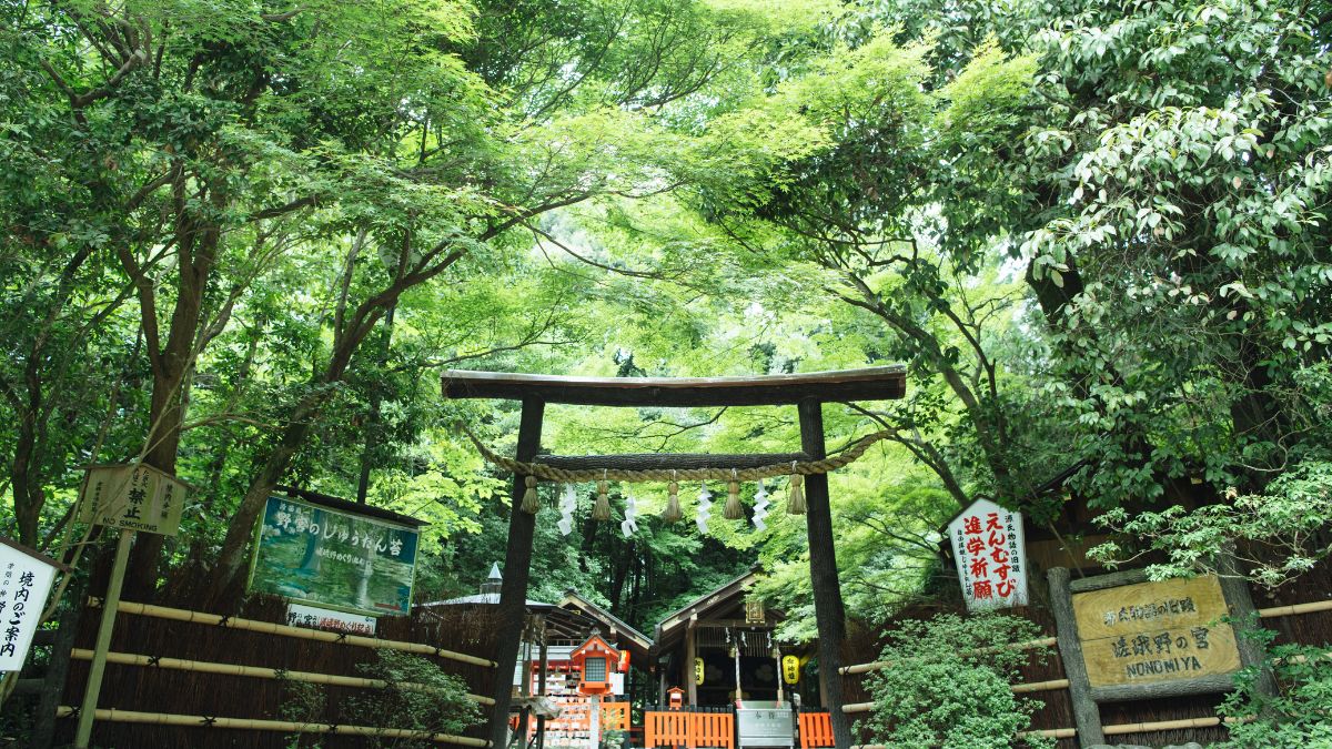 森の中の神社　えんむすび