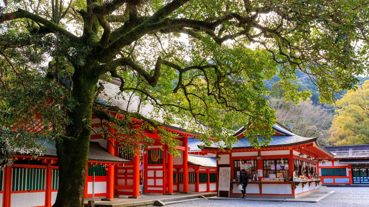 神社と大きな木